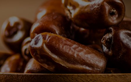 Sarika Ventures: India’s Premier Dates Processing Powerhouse – From Powder to Private Label Since 2017