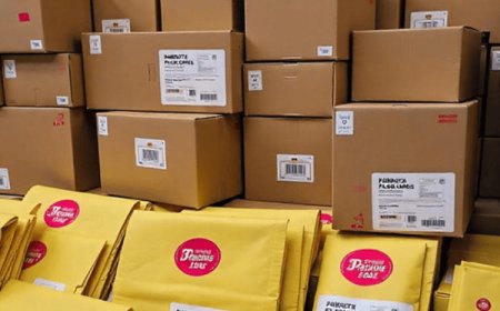 Jainytic Packaging: Revolutionizing Sustainable Packaging Solutions in India