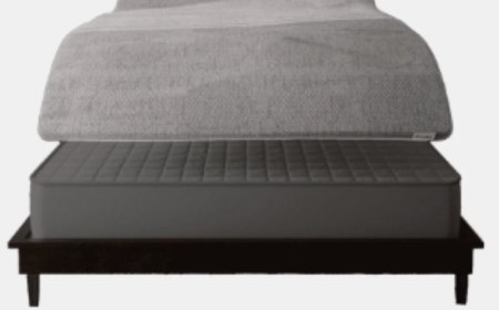 Comfort in Motion: Discover Frido – Pune's Ergonomic Wellness Innovator Since 2015