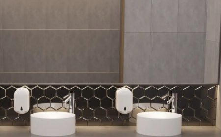 Hygiene Redefined: Dolphy India – Surat's Washroom Innovation Leader Since 2015