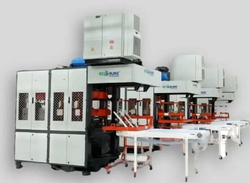 Greening the Planet, One Mold at a Time: Discover Ecosure Pulp Molding Technologies – India’s Pioneer in Plastic-Free Packaging