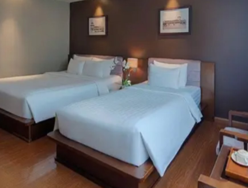 Restful Revolutions: Therapedic India – The Gold Standard in Sleep Science Since 1957