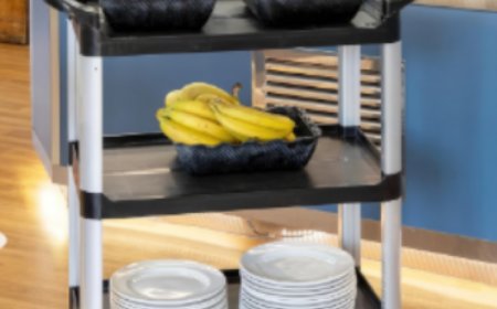 Unbreakable Elegance: Kenford India – Faridabad's Pioneer in Food-Grade Polycarbonate Tableware Since 2009