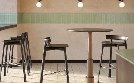 Discover Aceray: Crafting Timeless Contemporary Seating for Modern Spaces