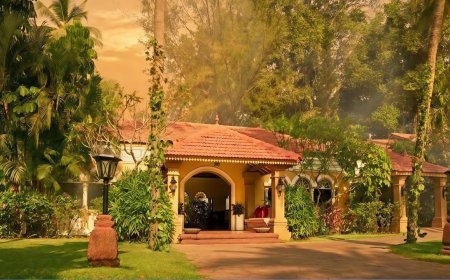 Taj Holiday Village Resort & Spa, Goa Launches Dedicated Pet Park