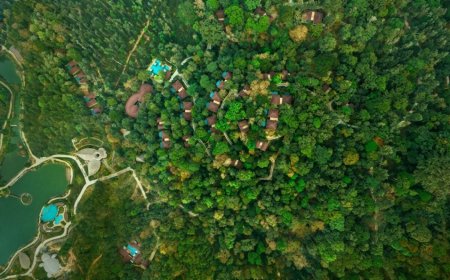 The Leela Expands into Coorg with Forest Sanctuary, Strengthening Wellness and Nature-Led Luxury Portfolio