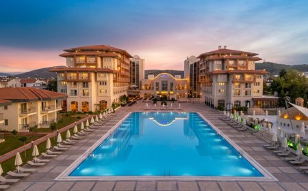 Radisson Hotel Group records over 272 signings and openings in 2025, driving global expansion