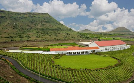 Sula Vineyards Expands Wine Tourism Ambitions with Chandon Estate Acquisition in Nashik