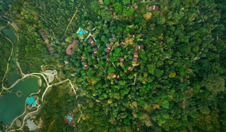 The Leela Expands into Coorg with Forest Sanctuary, Strengthening Wellness and Nature-Led Luxury Portfolio