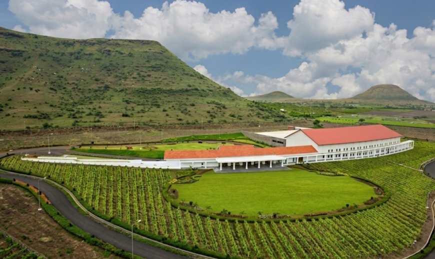 Sula Vineyards Expands Wine Tourism Ambitions with Chandon Estate Acquisition in Nashik
