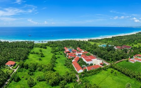 Planet Hotels & Resorts Reports 11% Revenue Growth, Driven by Experiential Demand and Key Markets