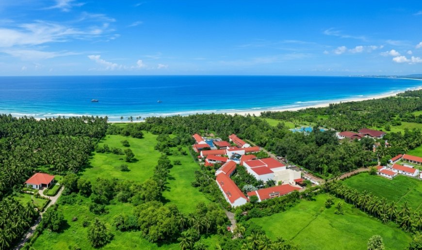 Planet Hotels & Resorts Reports 11% Revenue Growth, Driven by Experiential Demand and Key Markets